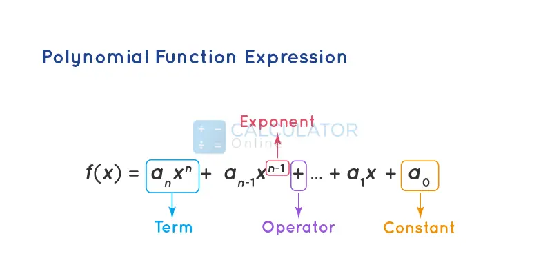 Polynomial Function