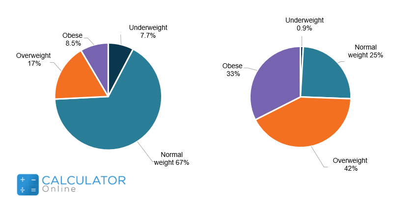How a Balanced Diet Aids In Maintaining BMI?